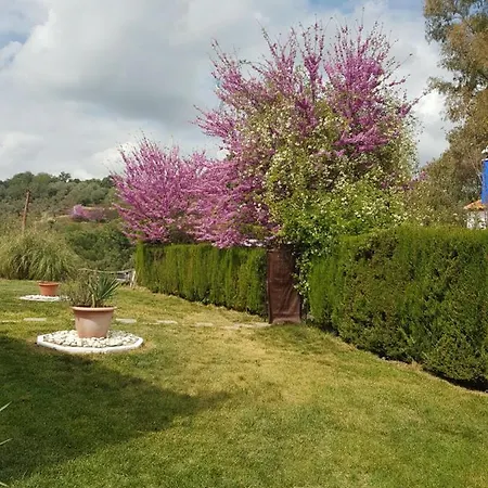 Casa Grande 3* Constantina